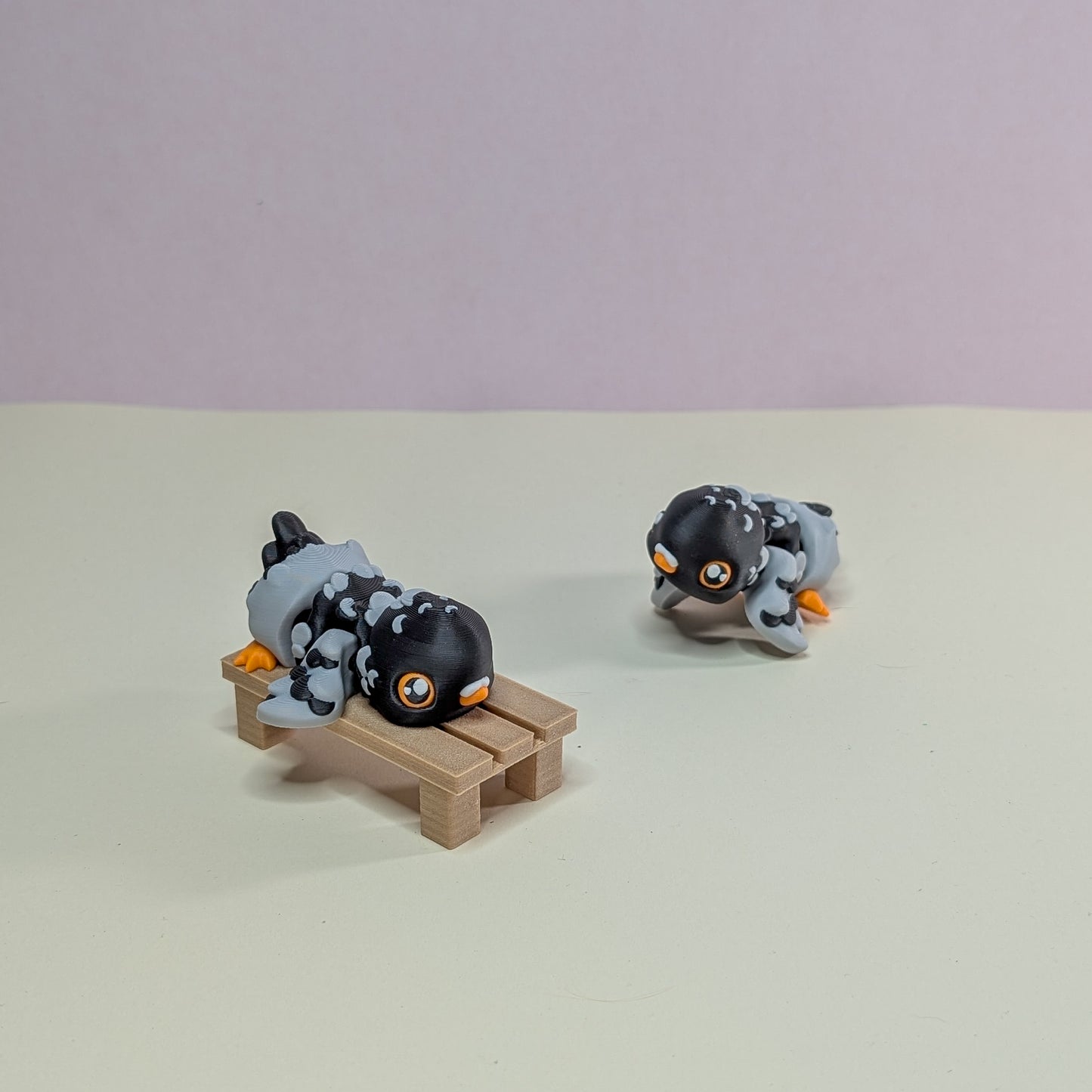Pigeon