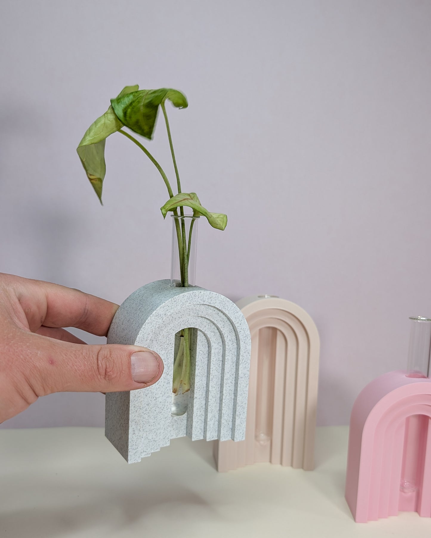 Arched Propagation Vase