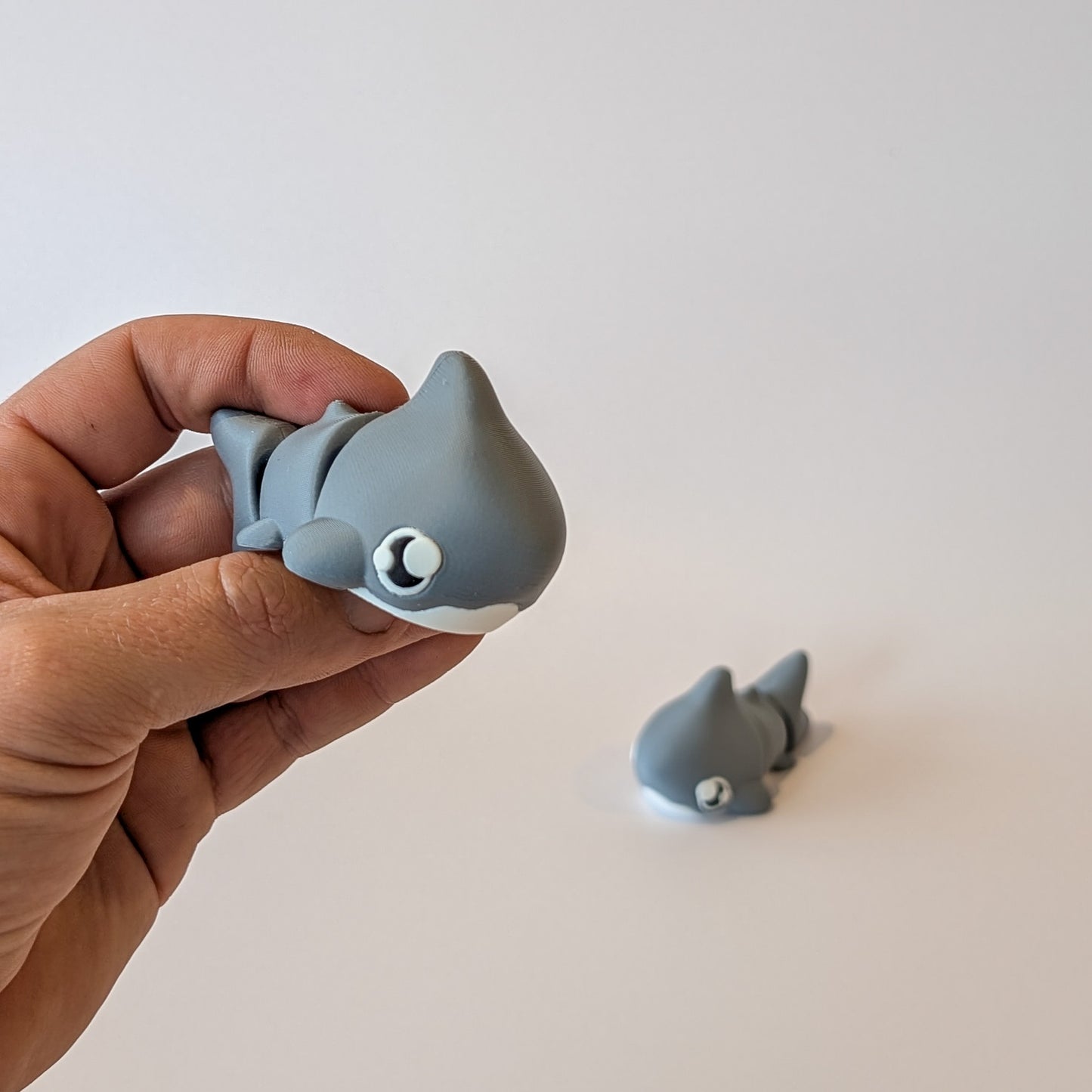 Shark