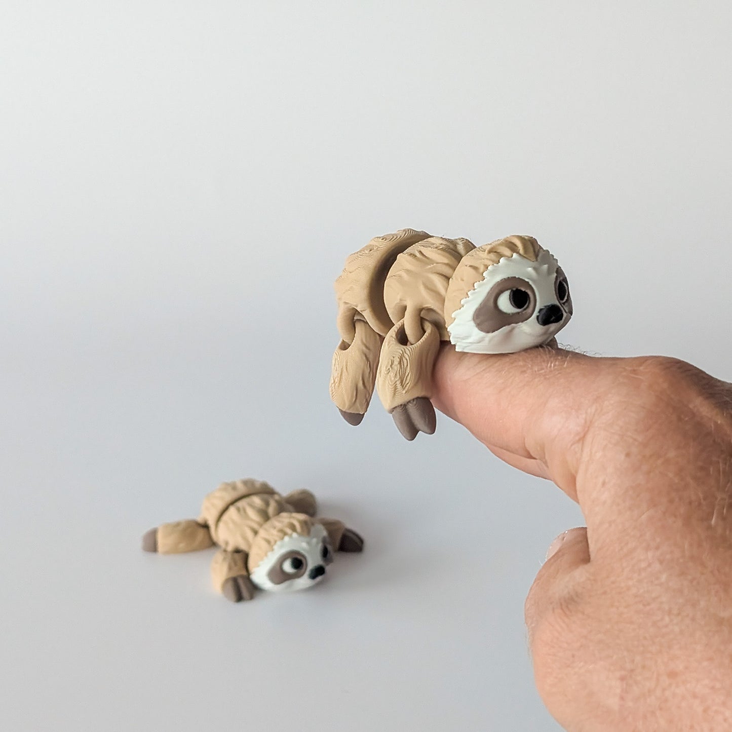 Sloth