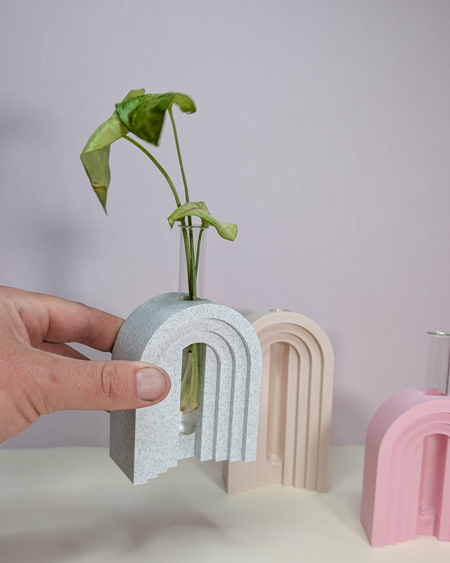 Arched Propagation Vase - 3D printed on the Surf Coast, Geelong by Elevated Expressions