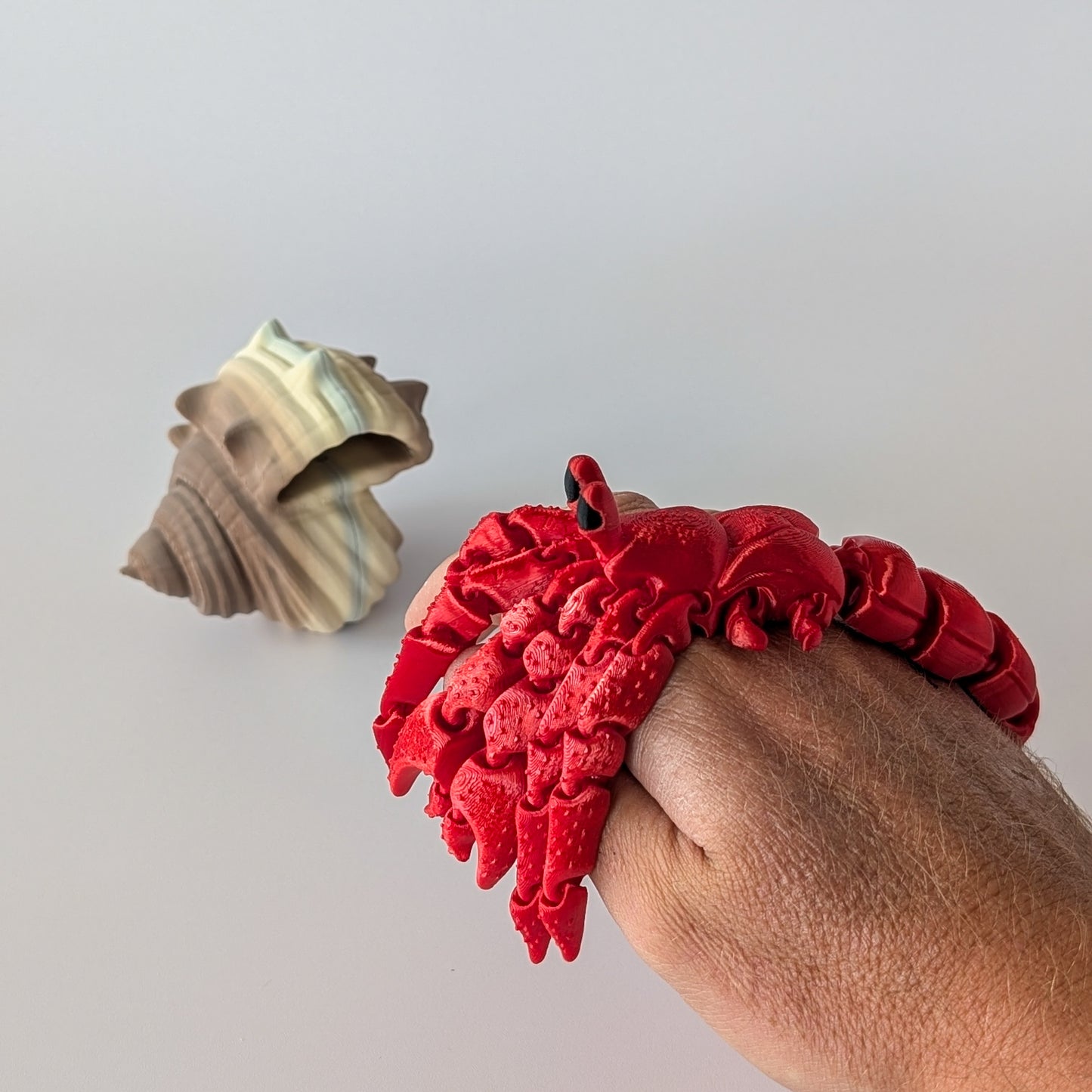 Hermit Crab β 3D printed hermit crab Hermi with shell, handmade in Geelong by Elevated Expressions