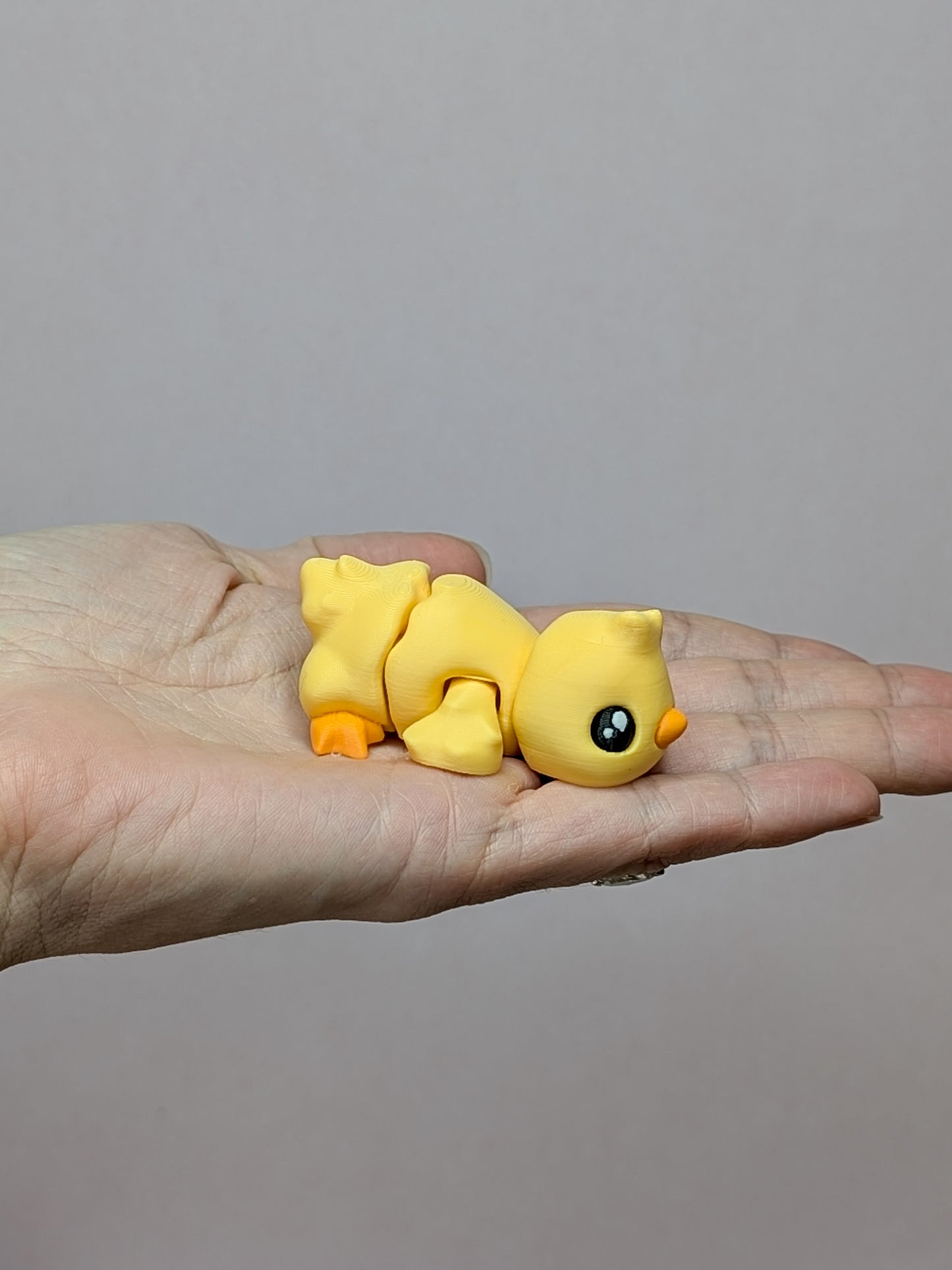 Chicks