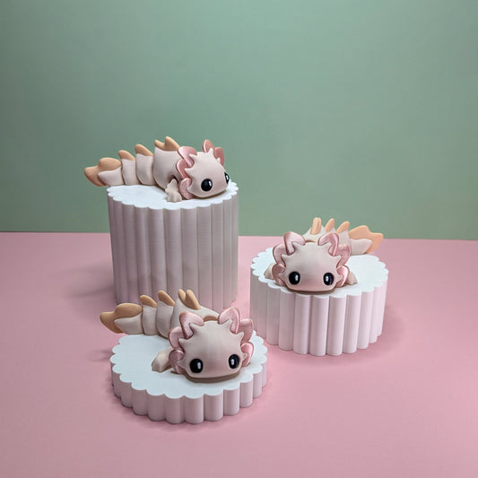 Axolotl