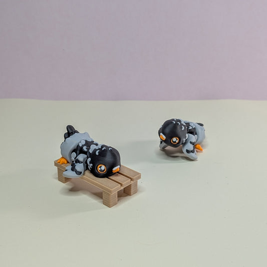 Pigeon