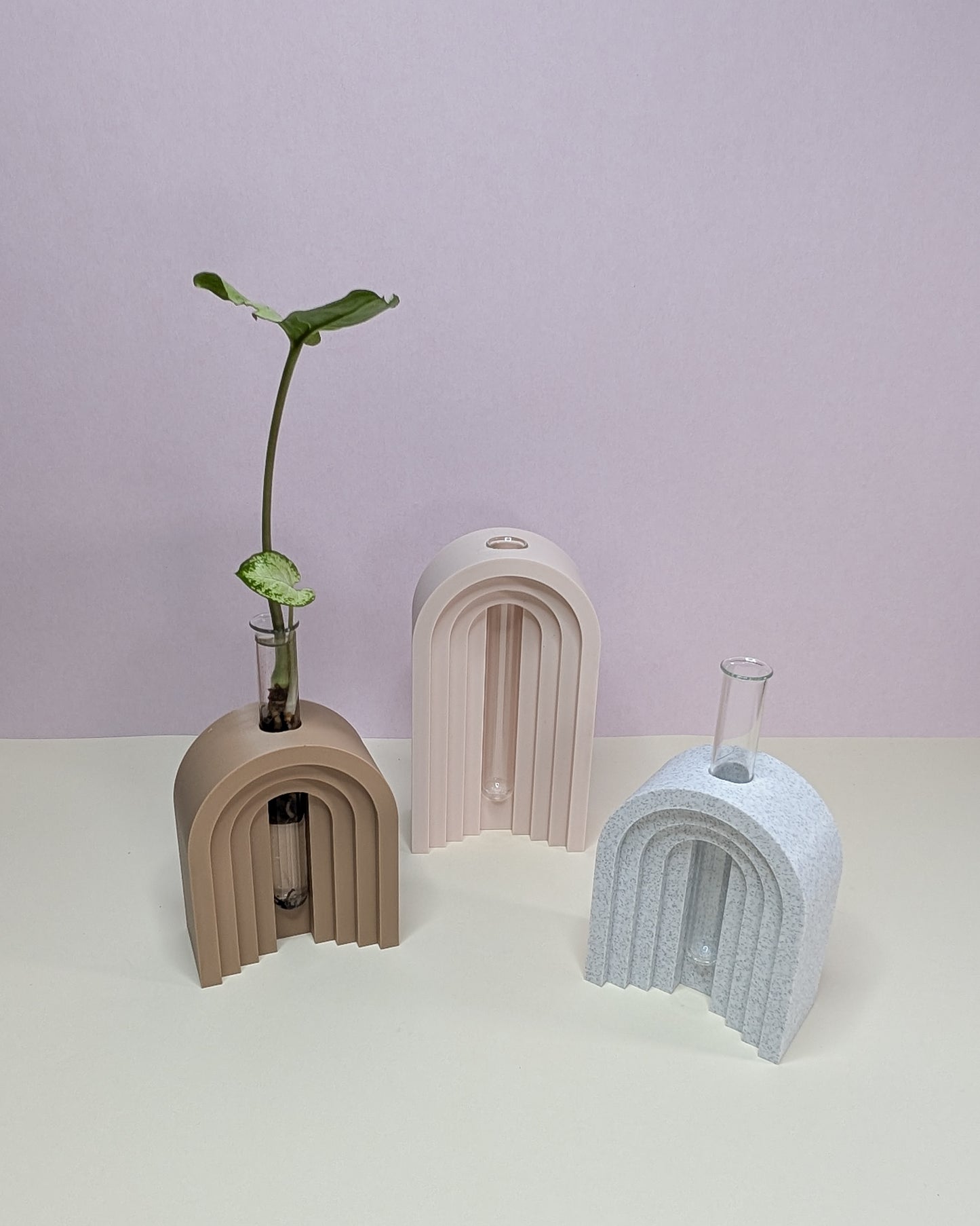 Arched Propagation Vase