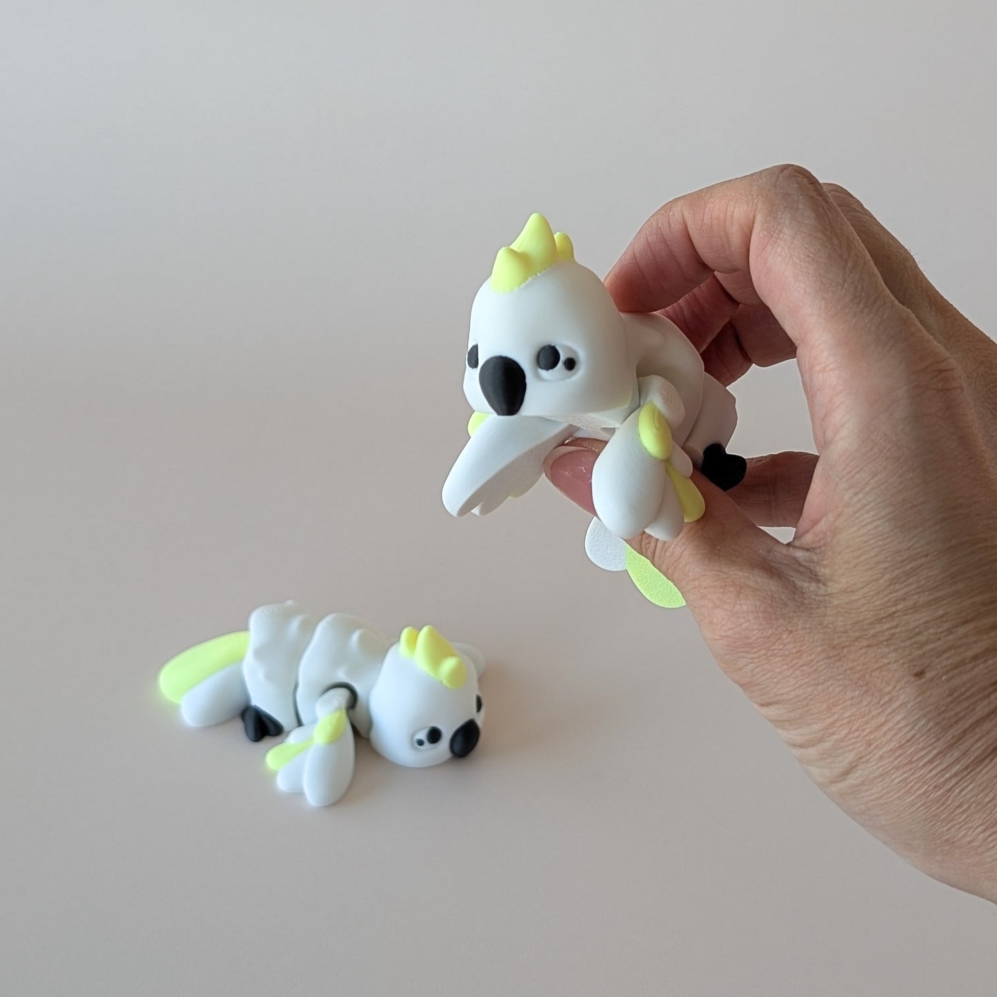 Cockatoo