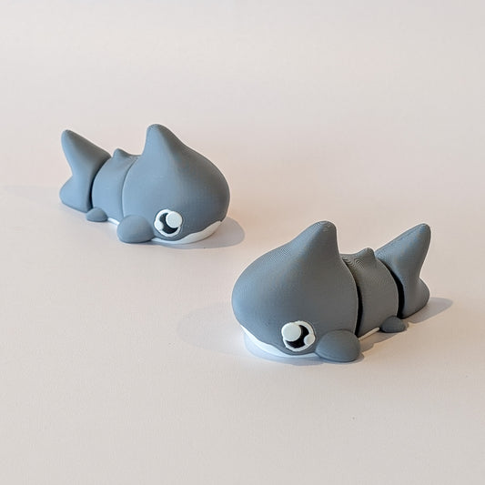 Shark