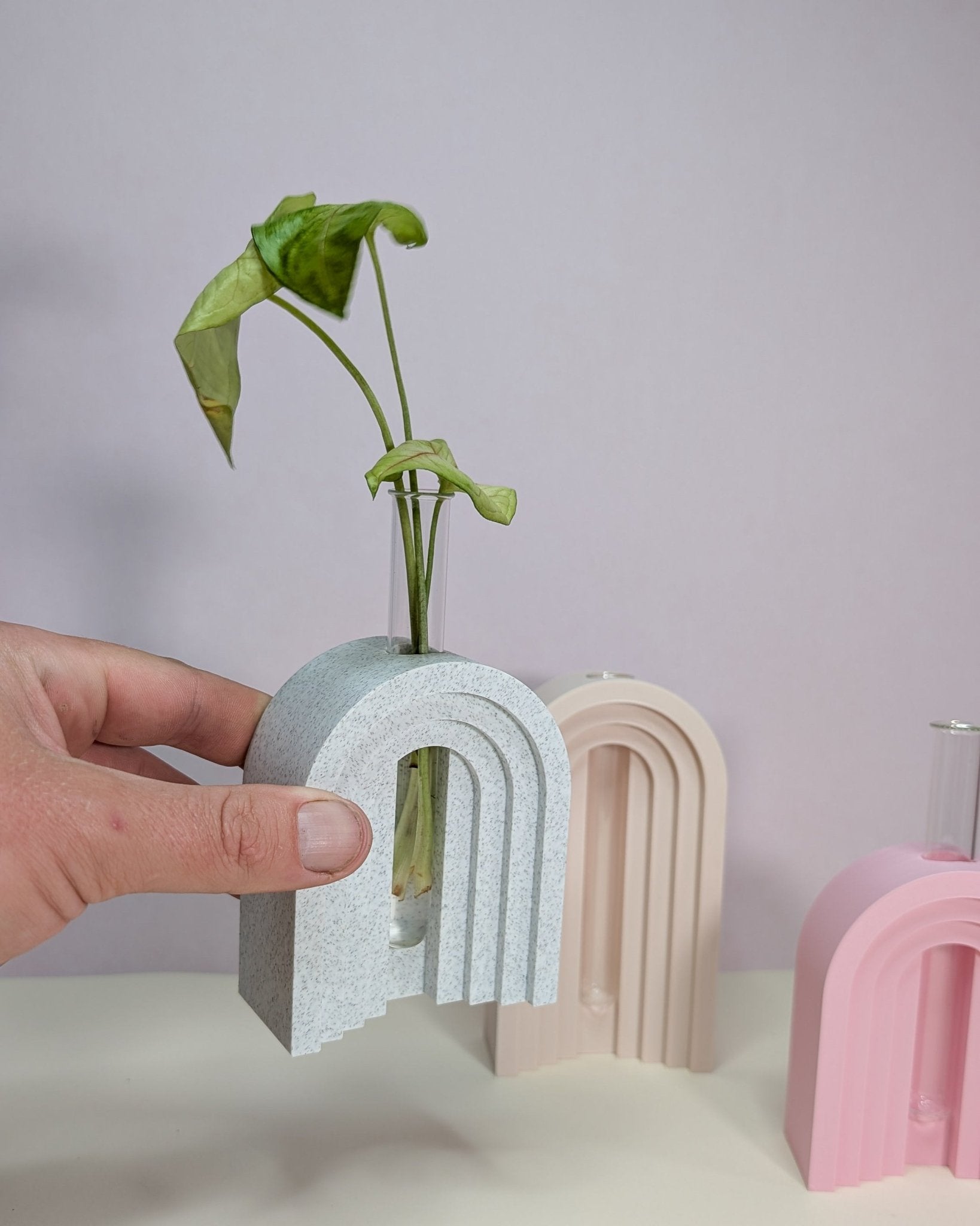 Arched Propagation Vase - 3D printed on the Surf Coast, Geelong by Elevated Expressions