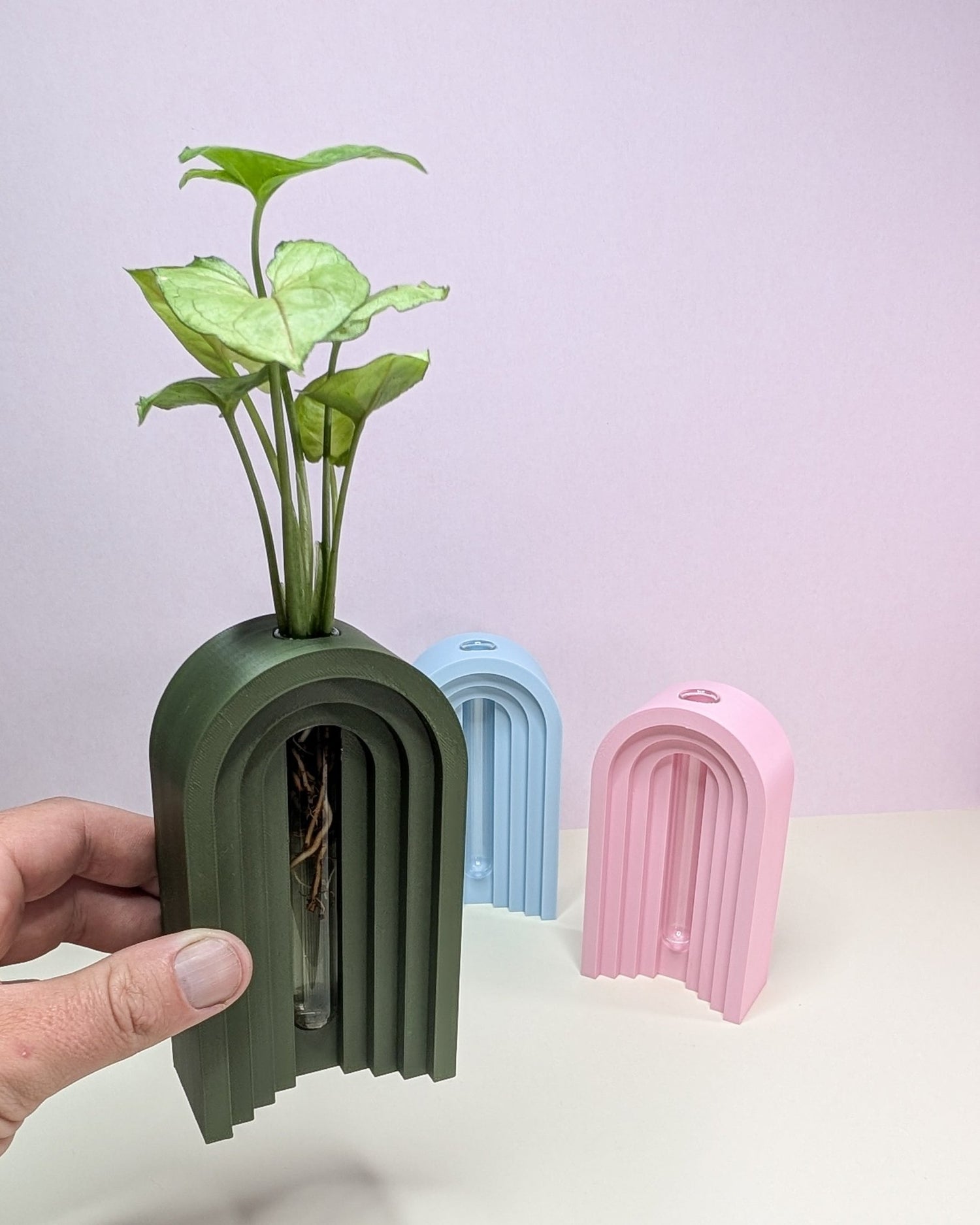 Arched Propagation Vase - 3D printed on the Surf Coast, Geelong by Elevated Expressions