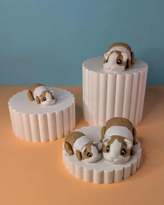 Guinea Pig - 3D printed on the Surf Coast, Geelong by Elevated Expressions
