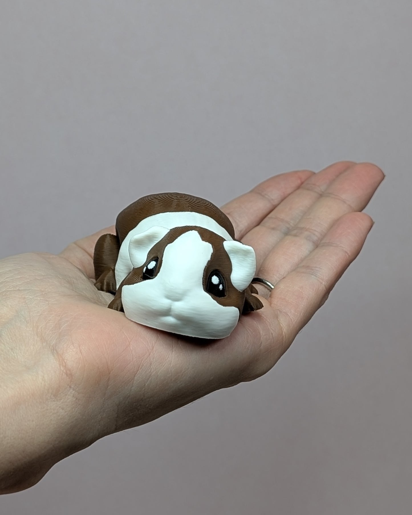 Guinea Pig