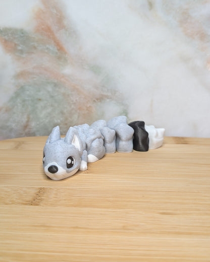 Squirrel