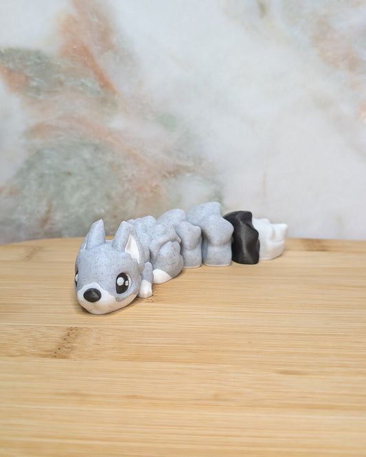 Squirrel