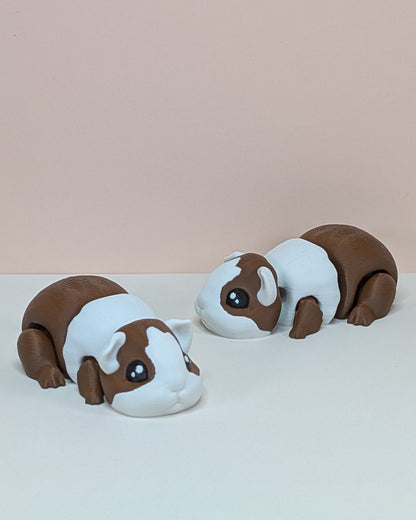 Guinea Pig